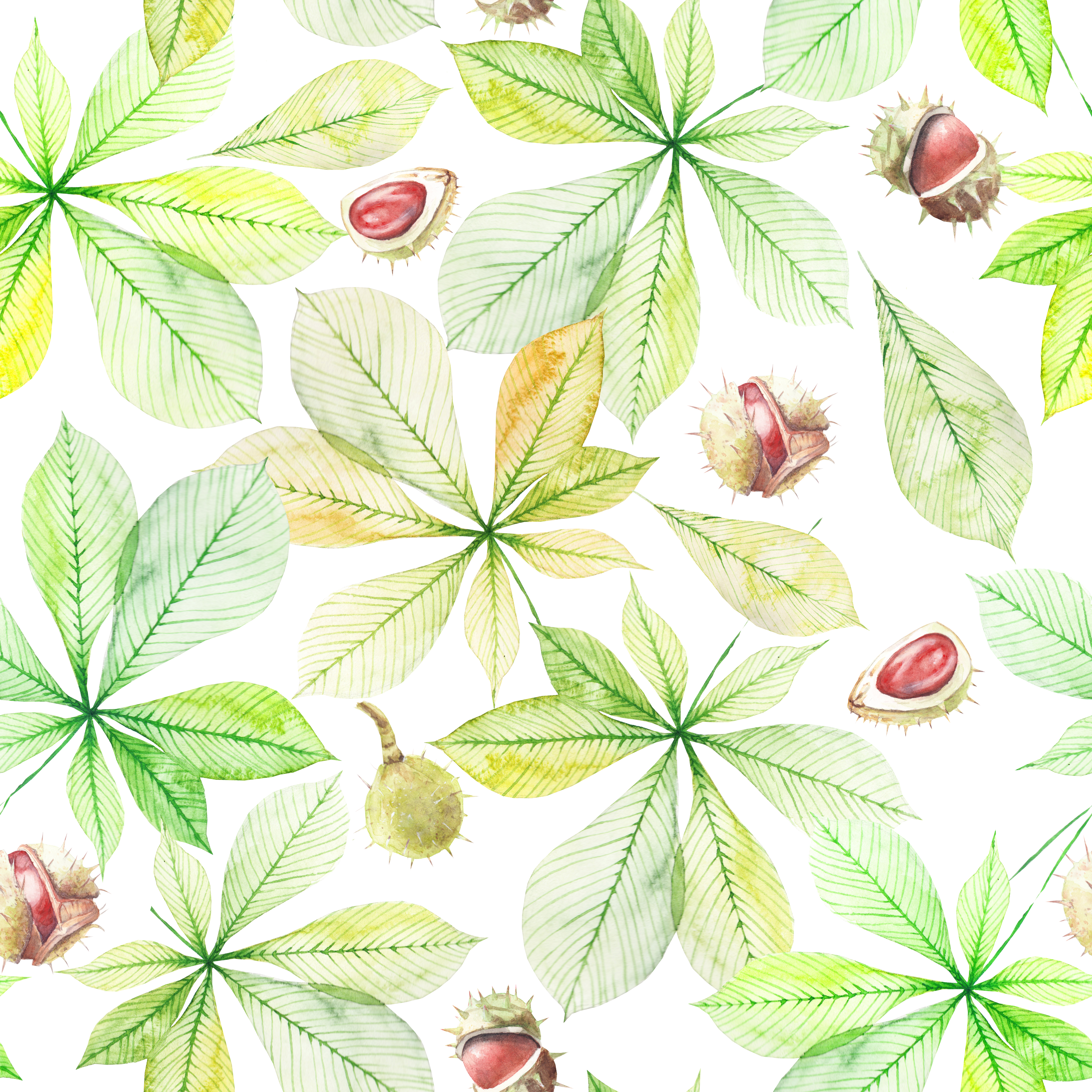 Pattern with chestnuts and leaves on a white background
