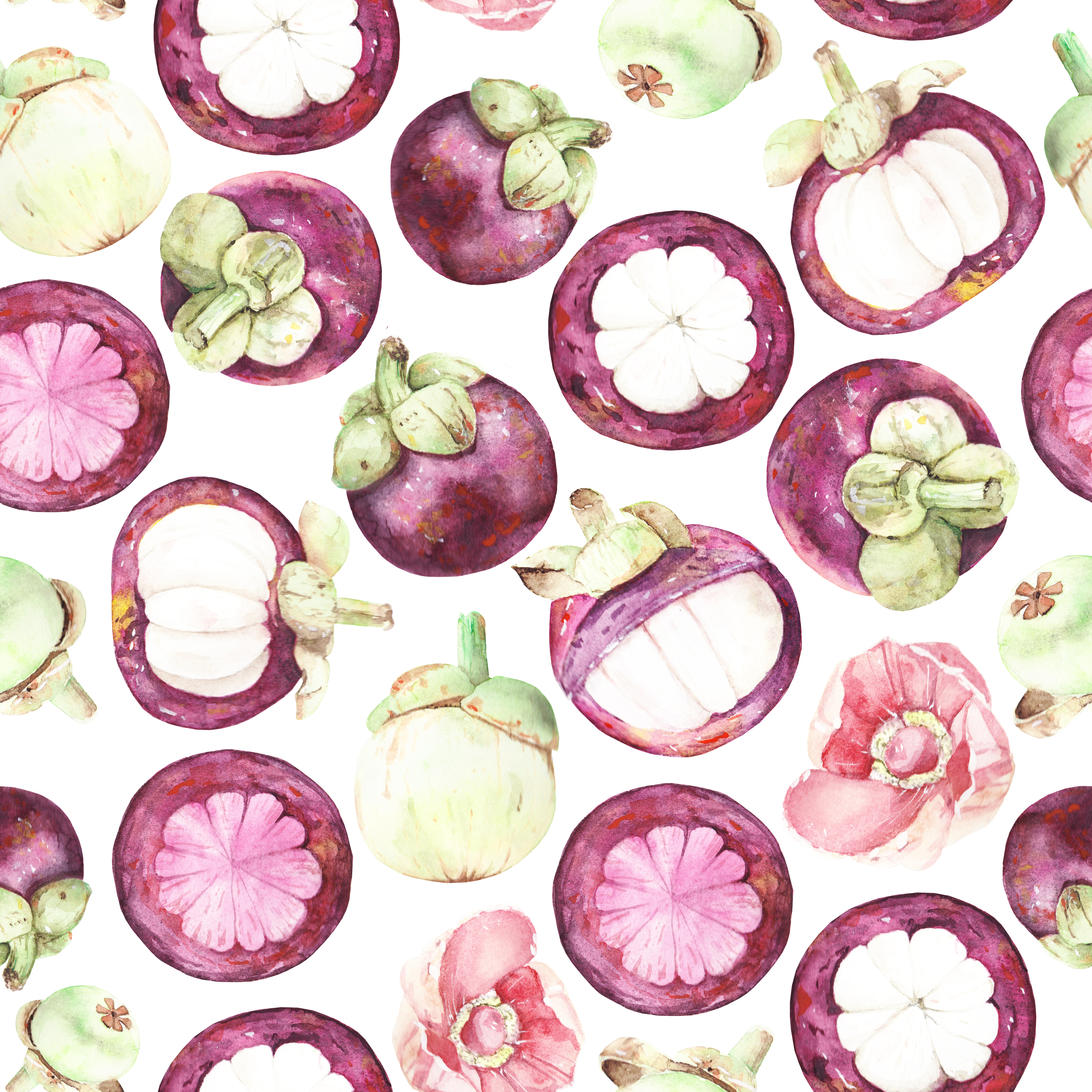 Pattern with mangosteen isolated on a white background