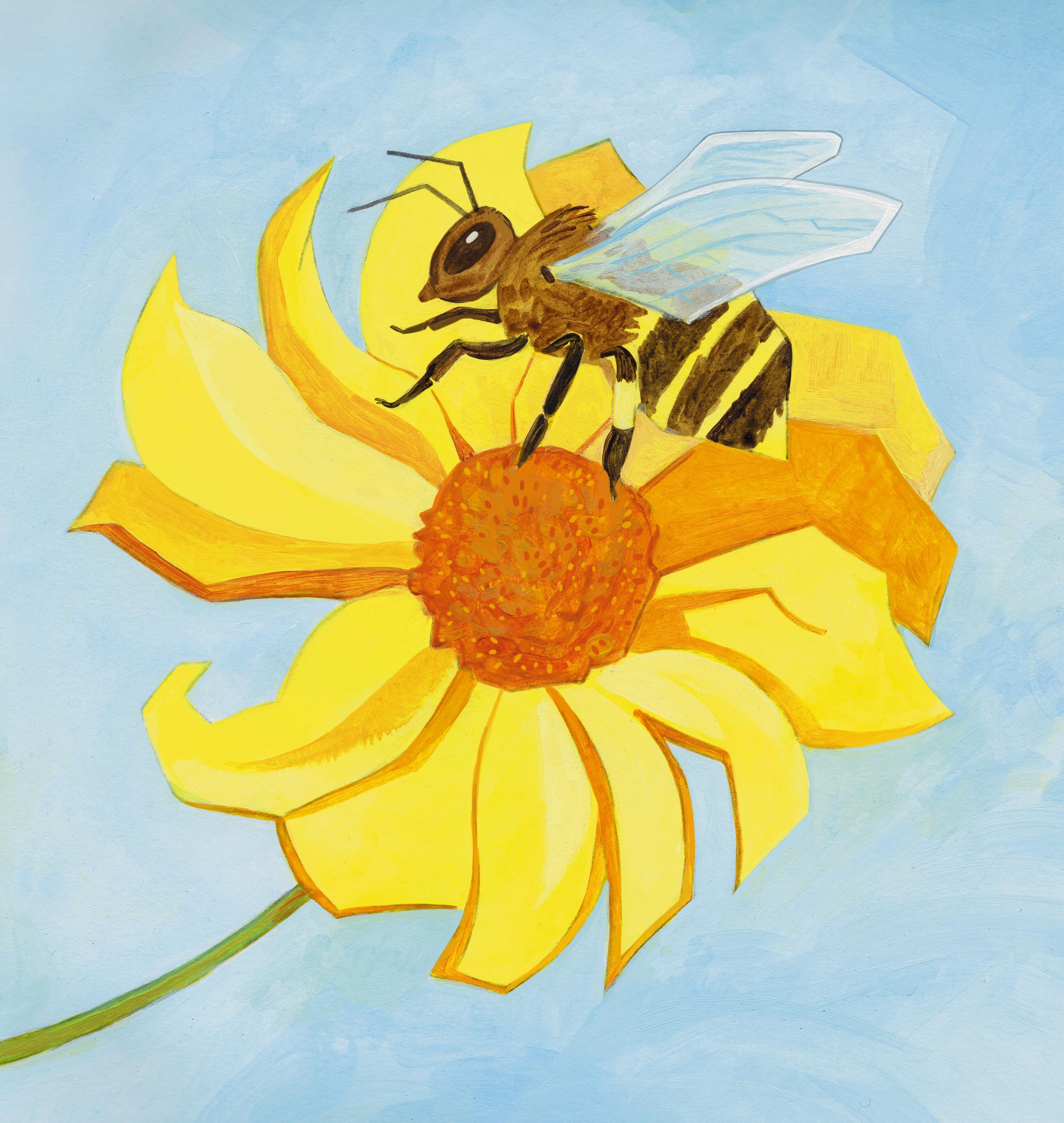 %d0%9f%d1%87%d0%b5%d0%bb%d0%b0 %d0%b8 %d1%86%d0%b2%d0%b5%d1%82%d0%be%d0%ba