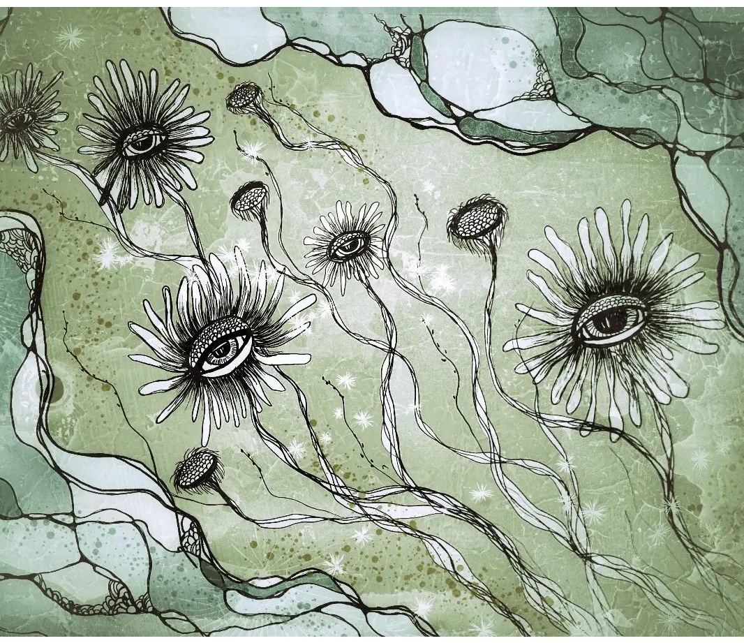 Screenshot 20240908 184626 instagram