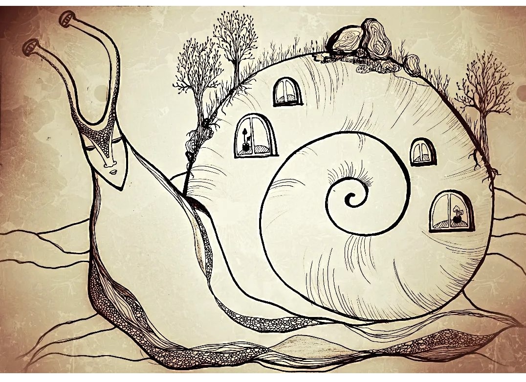 Screenshot 20240911 114557 instagram