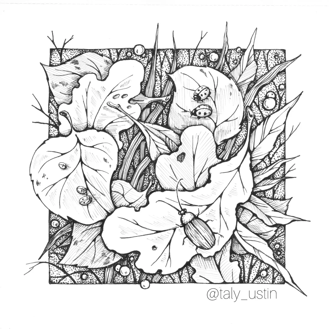 Img 20231017 154517 396