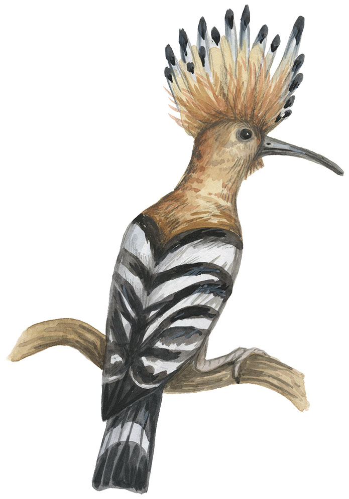 %d0%a3%d0%b4%d0%be%d0%b4