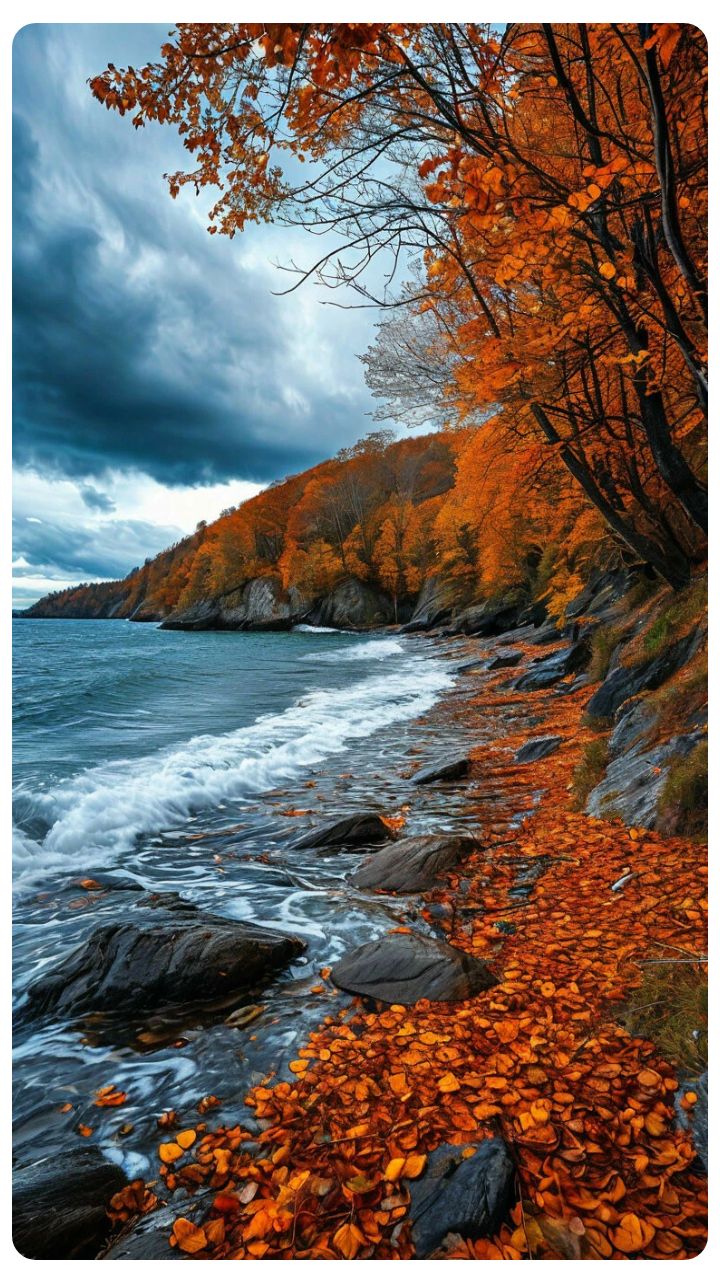 Screenshot 20241002 061159