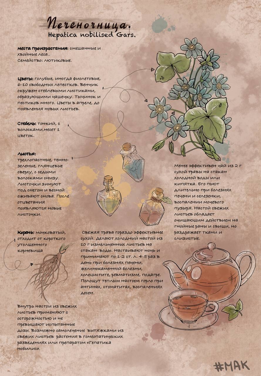 Img 20241112 181244 630