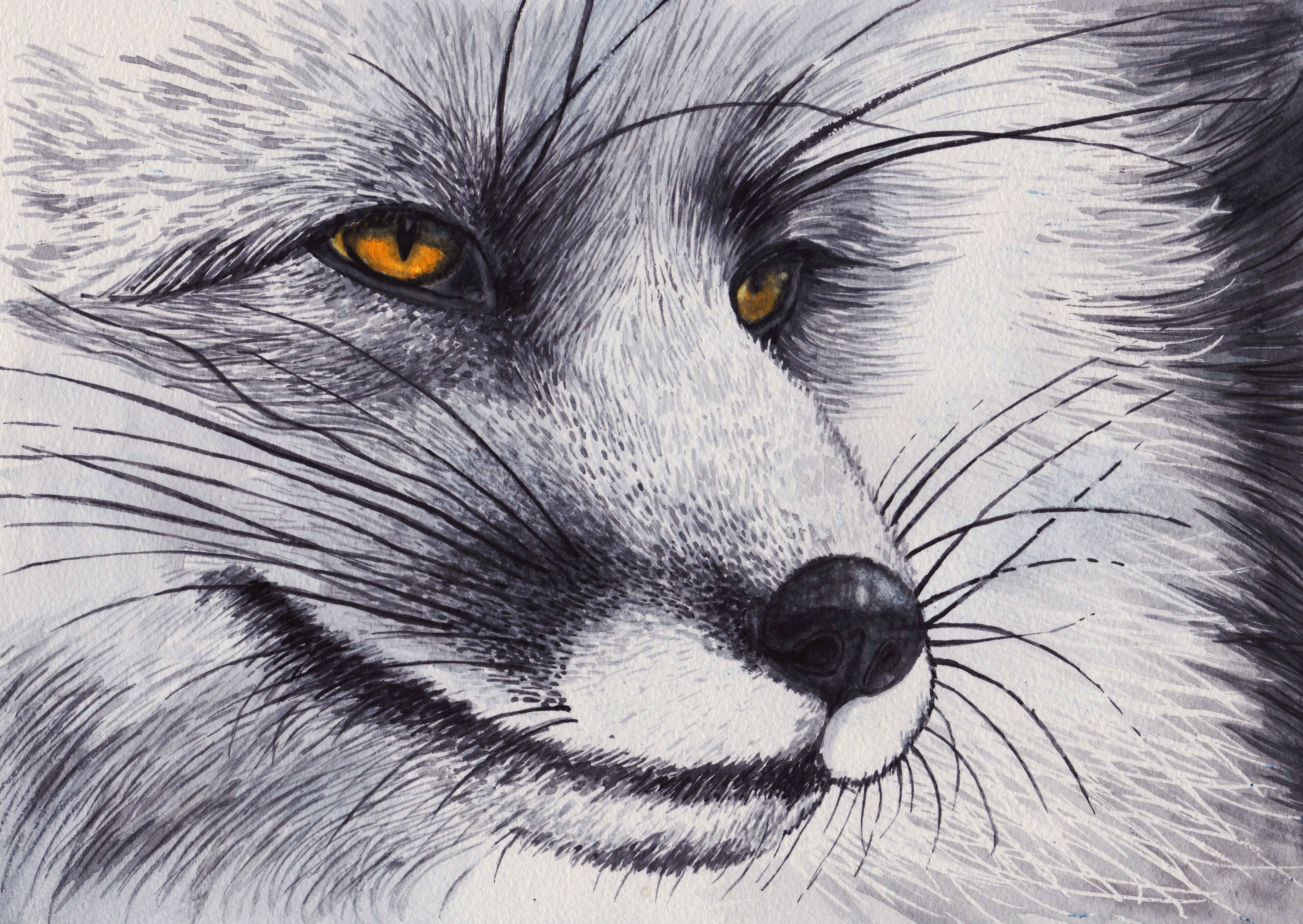 1 %d1%87%d0%b5%d1%80%d0%bd%d0%be%d0%b1%d1%83%d1%80%d1%8b%d0%b9 %d0%bb%d0%b8%d1%81