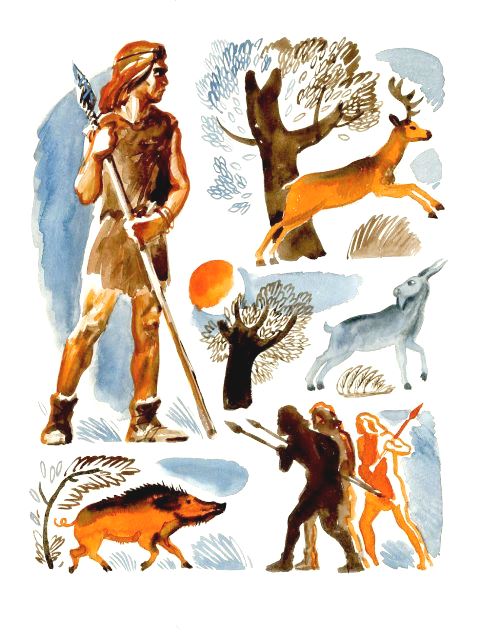 A ignore q 80 w 1000 c limit 001  6 