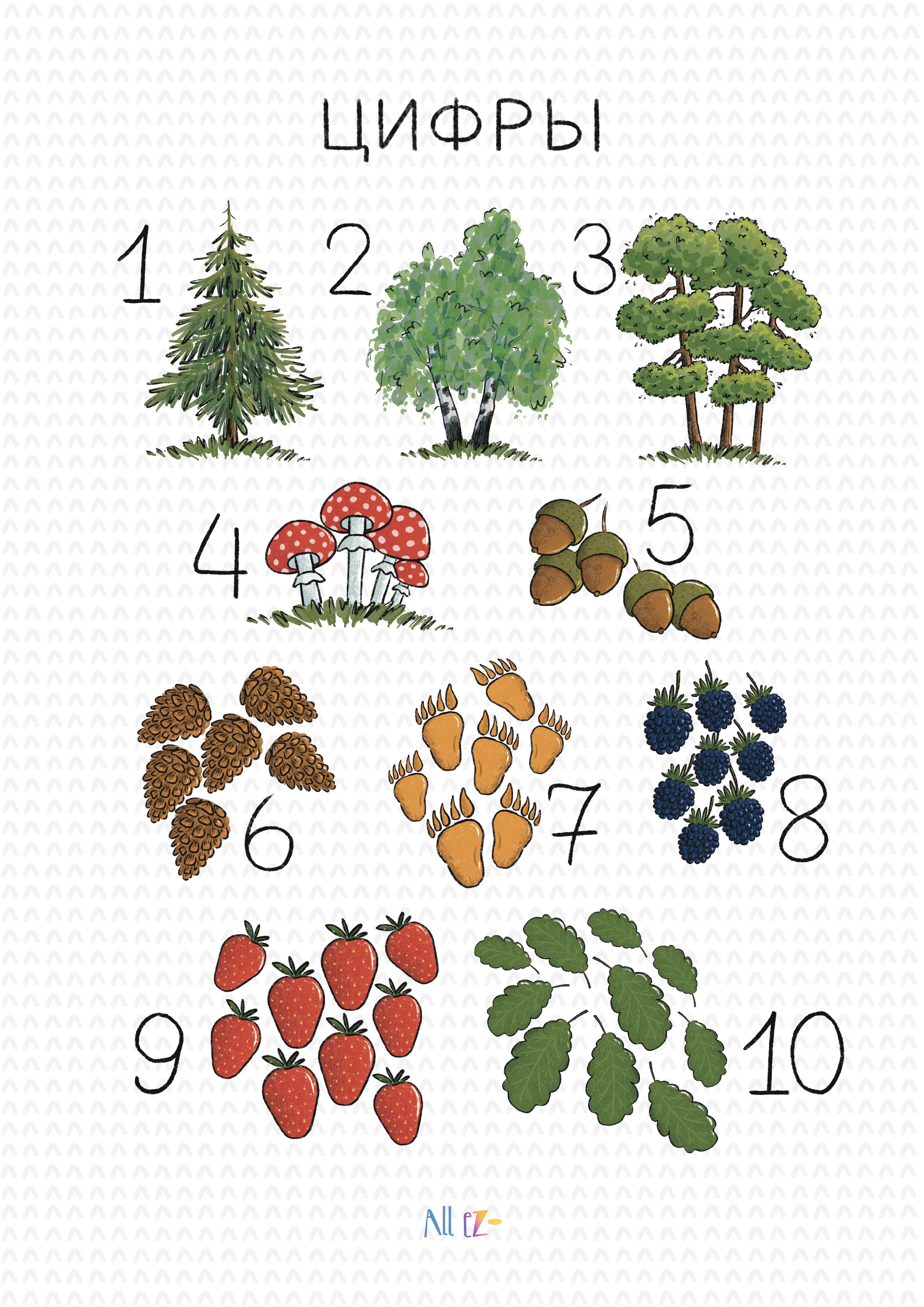 %d0%a6%d0%b8%d1%84%d1%80%d1%8b