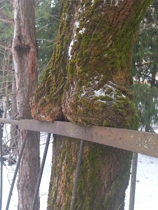 Ymi4fxkdvvpduhbfptpzqyuqriwm9hentcybh6xf8sssz7jxgtxdl0l3udo8e2nl0xm94i5p5xb0p2ppdheveqh8