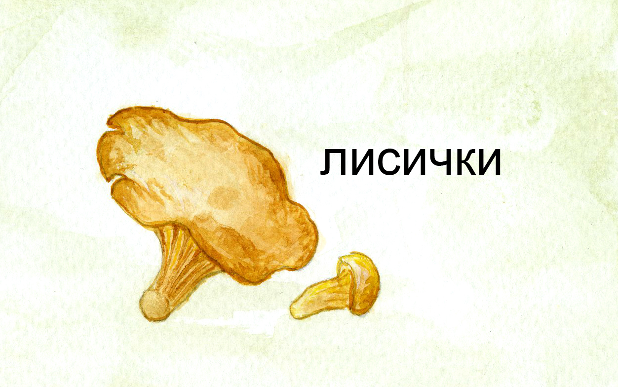 %d0%ba%d0%b0%d1%80%d1%82%d0%be%d1%87%d0%ba%d0%b01