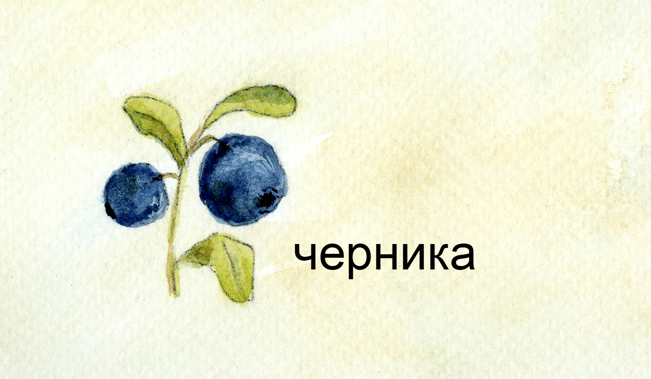 %d0%ba%d0%b0%d1%80%d1%82%d0%be%d1%87%d0%ba%d0%b02