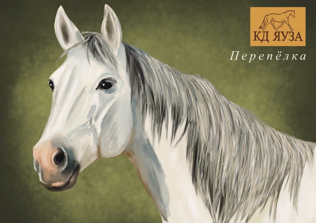 Img 20240918 182600 620