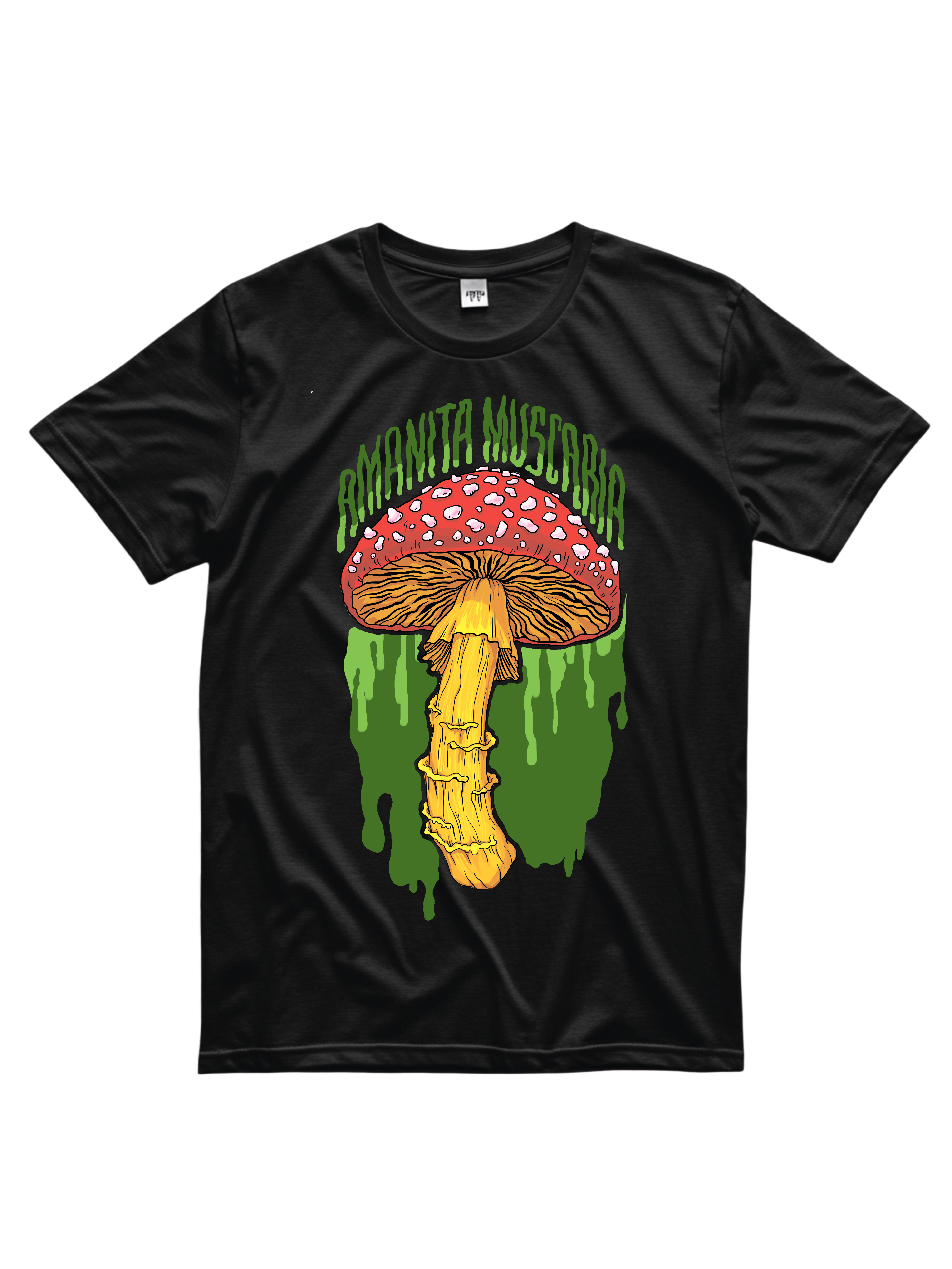 %d0%bc%d1%83%d1%85%d0%be%d0%bc%d0%be%d1%80 %d1%84%d1%84%d1%84