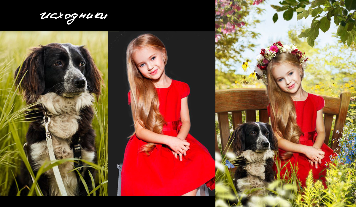 %d0%b4%d0%b5%d0%b2%d0%be%d1%87%d0%ba%d0%b0 %d0%b8 %d1%81%d0%be%d0%b1%d0%b0%d0%ba%d0%b0