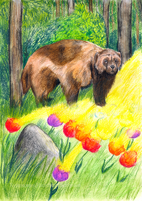 Bb113130813453.5633a91db657e