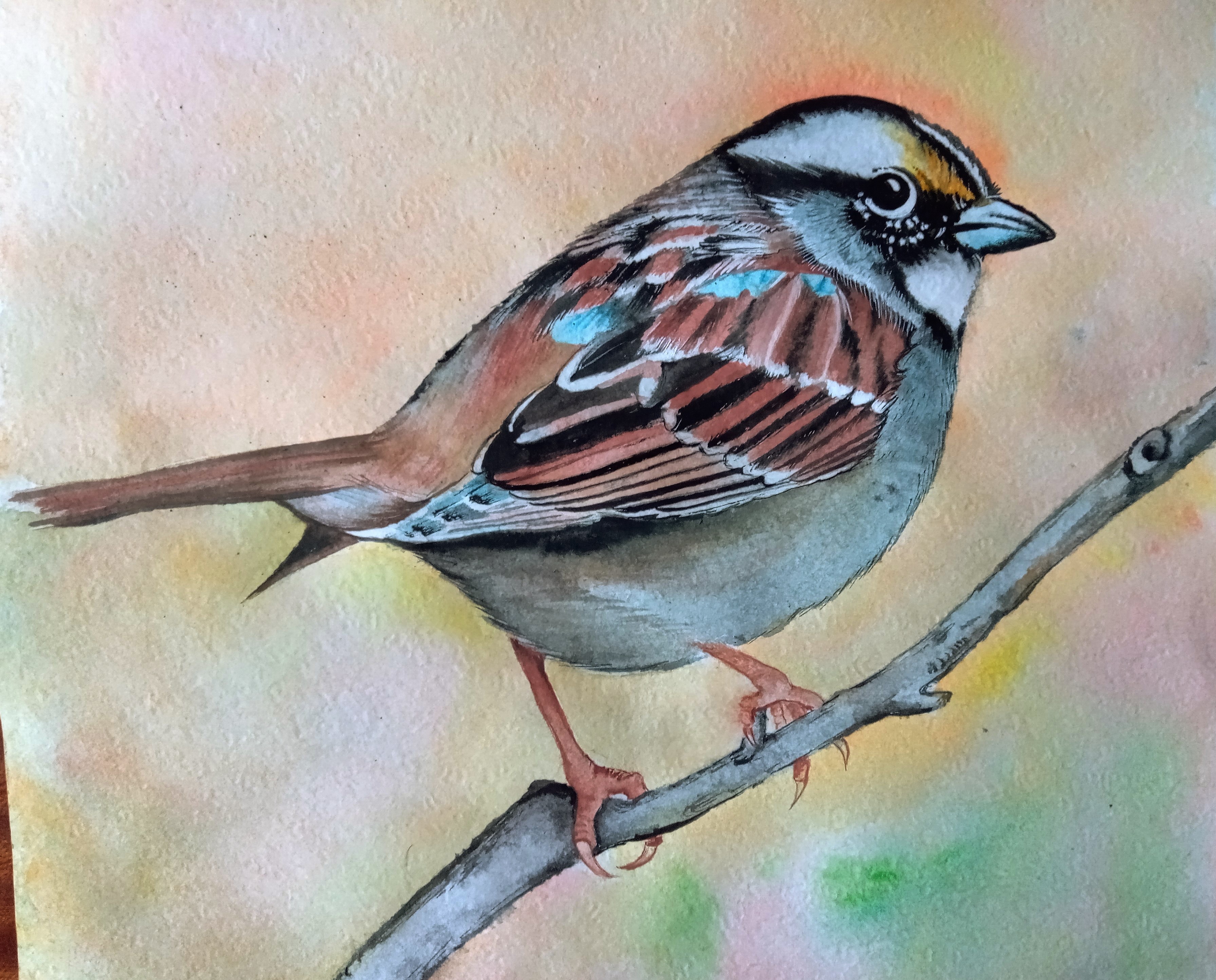 Img 20230222 171435 193 3