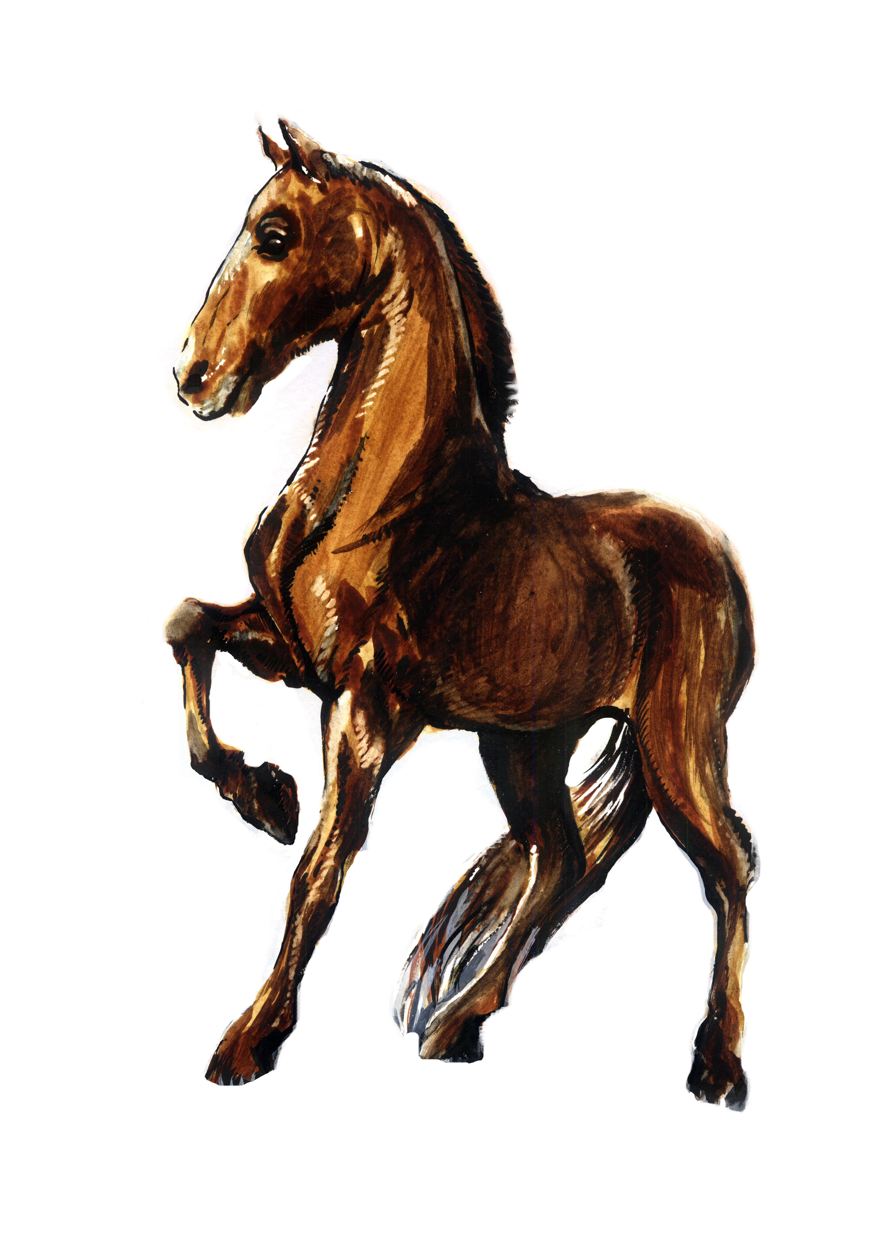 37 %d0%bc%d0%b8%d0%bd