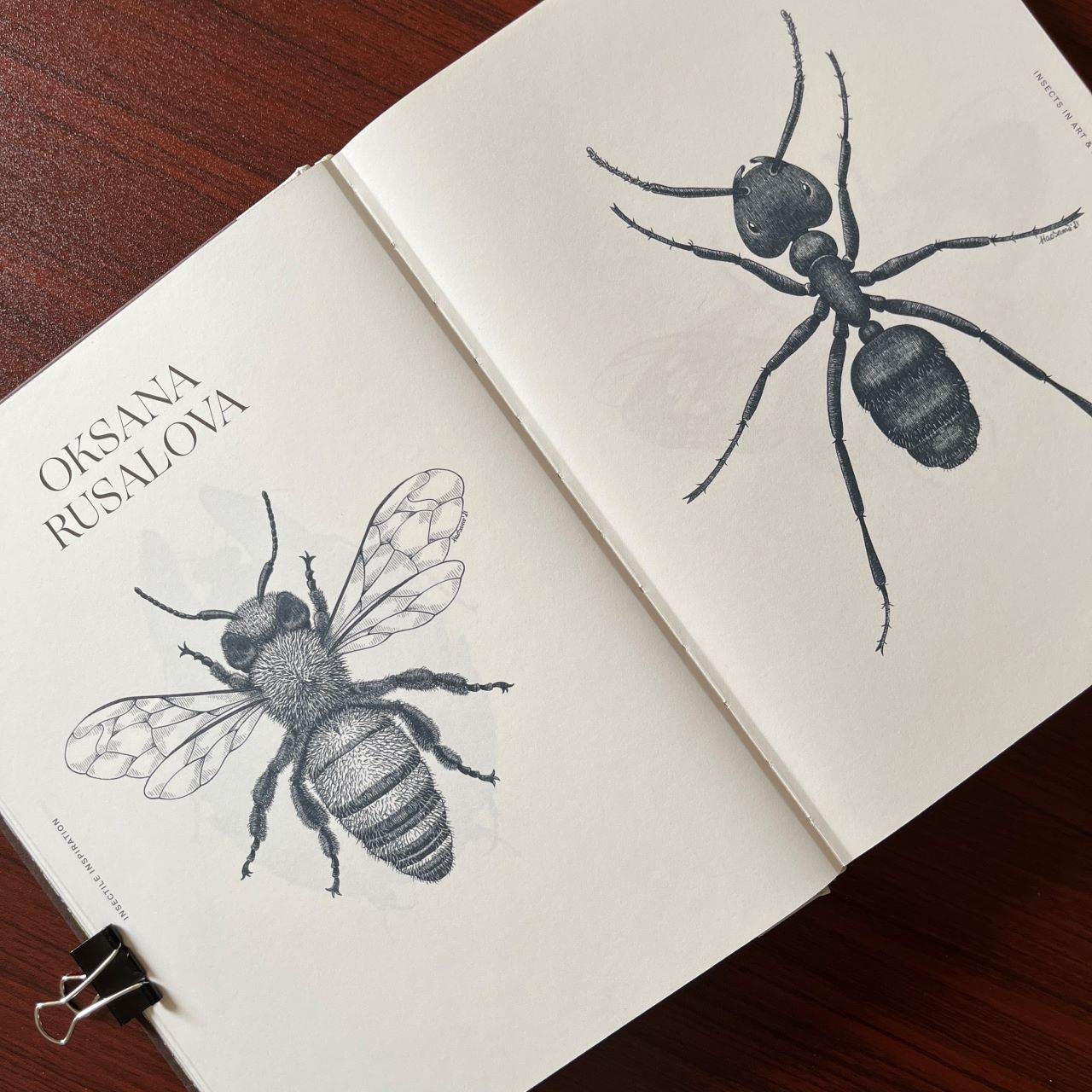 609e579f a2c1 4a69 af1f 994f75612330