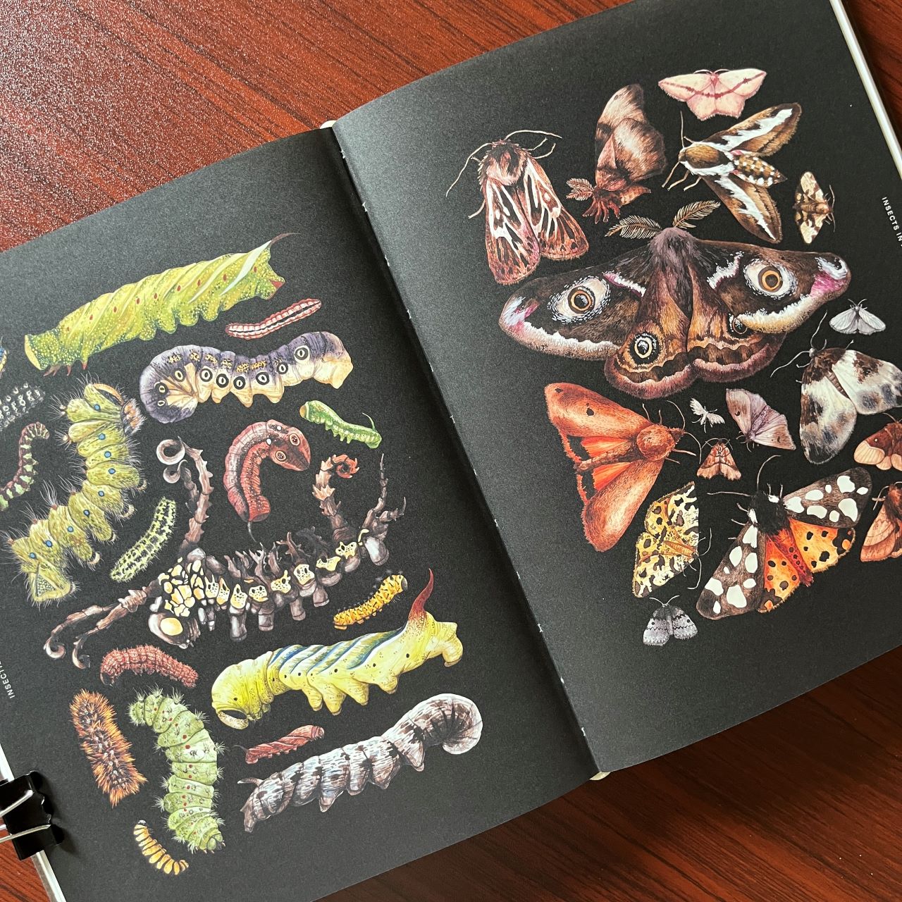 6a122401 dd60 4a27 b150 45cdbc131cf0