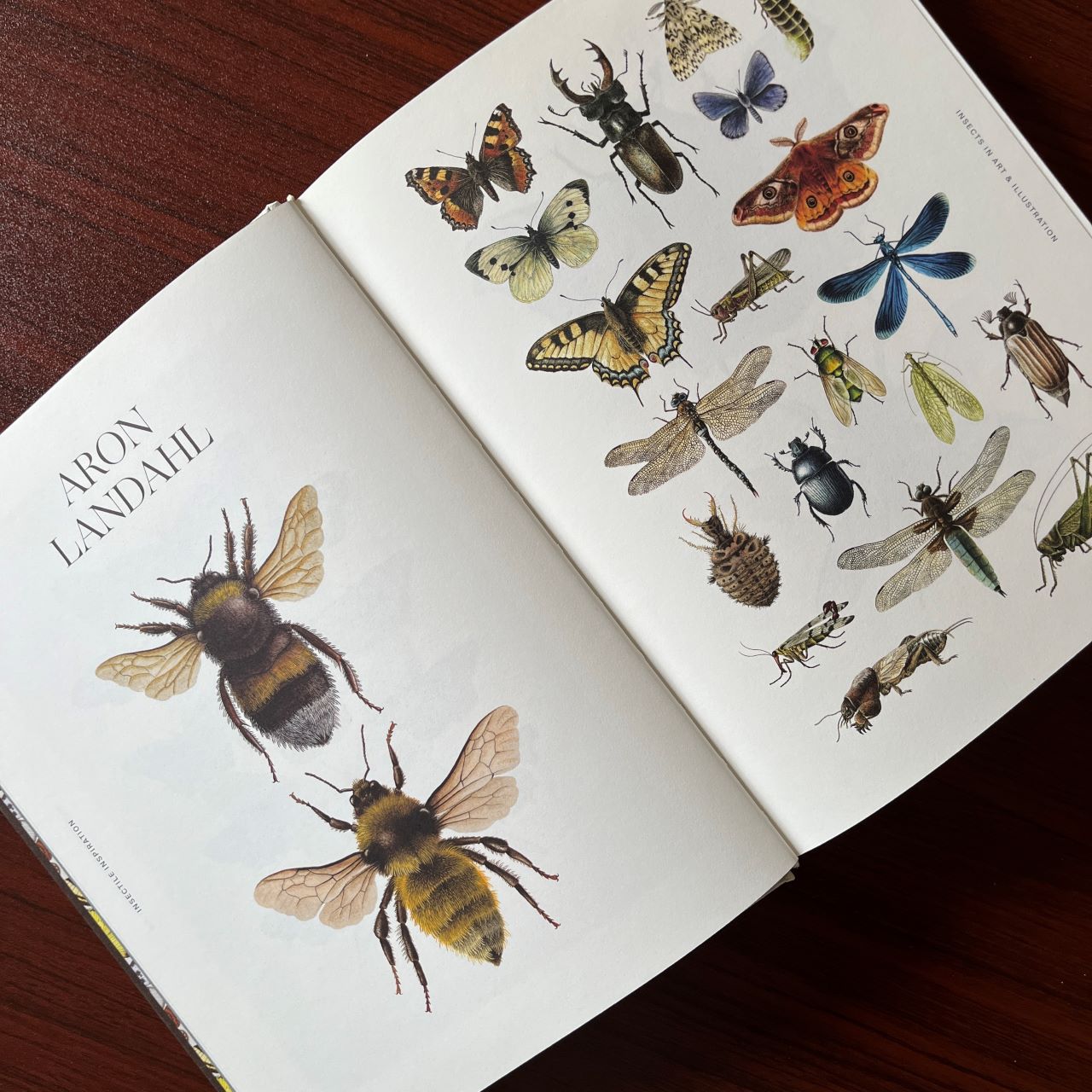 A6e2d5ed f3bc 43a5 92a7 dc3eeaf06694