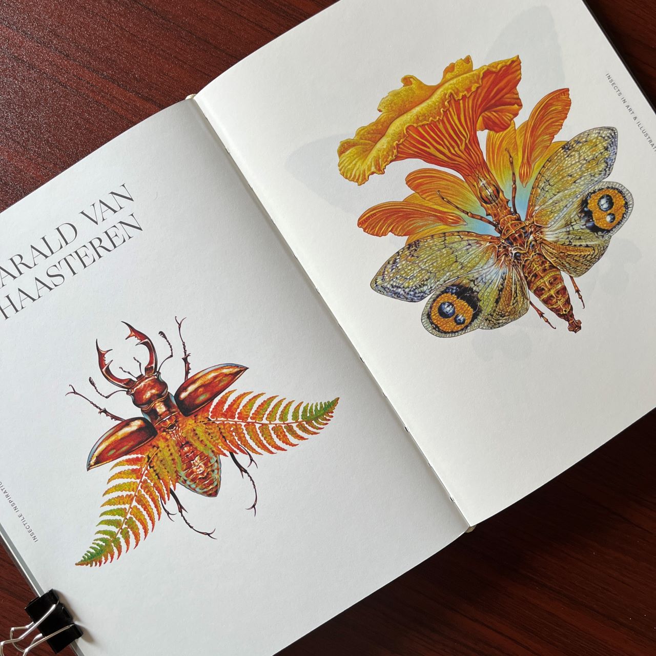 B86f01e1 1013 4e4c ad11 633d57a0dc08