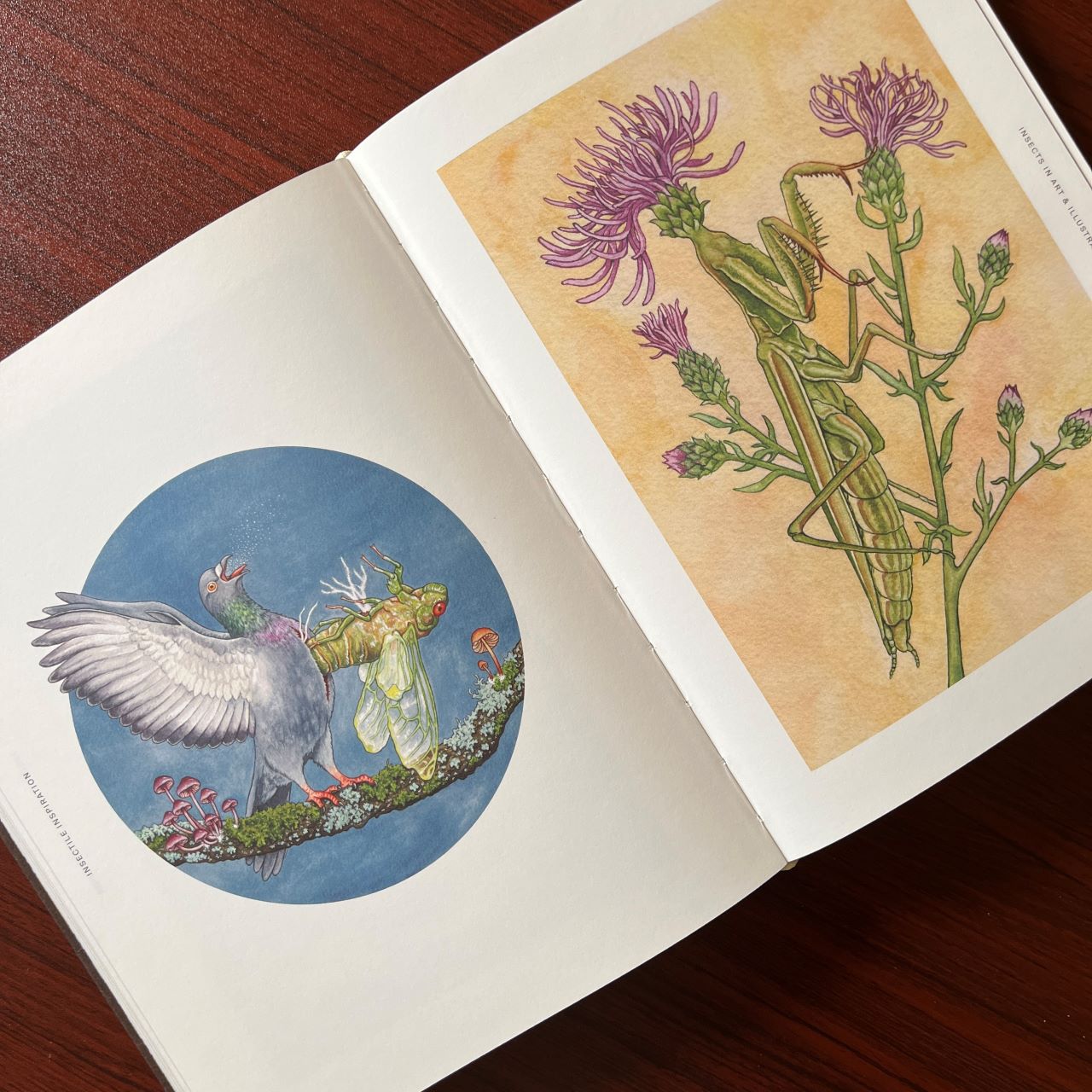 Cd3b6c33 57c3 4837 907b 207f4c6a1468