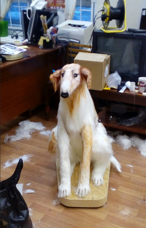 Opera %d0%a1%d0%bd%d0%b8%d0%bc%d0%be%d0%ba 2025 04 18 094917 vk.com