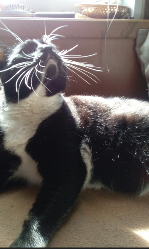 Opera %d0%a1%d0%bd%d0%b8%d0%bc%d0%be%d0%ba 2025 04 24 125759 vk.com