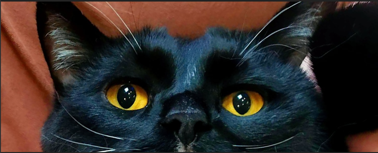 Opera %d0%a1%d0%bd%d0%b8%d0%bc%d0%be%d0%ba 2025 04 24 125708 vk.com