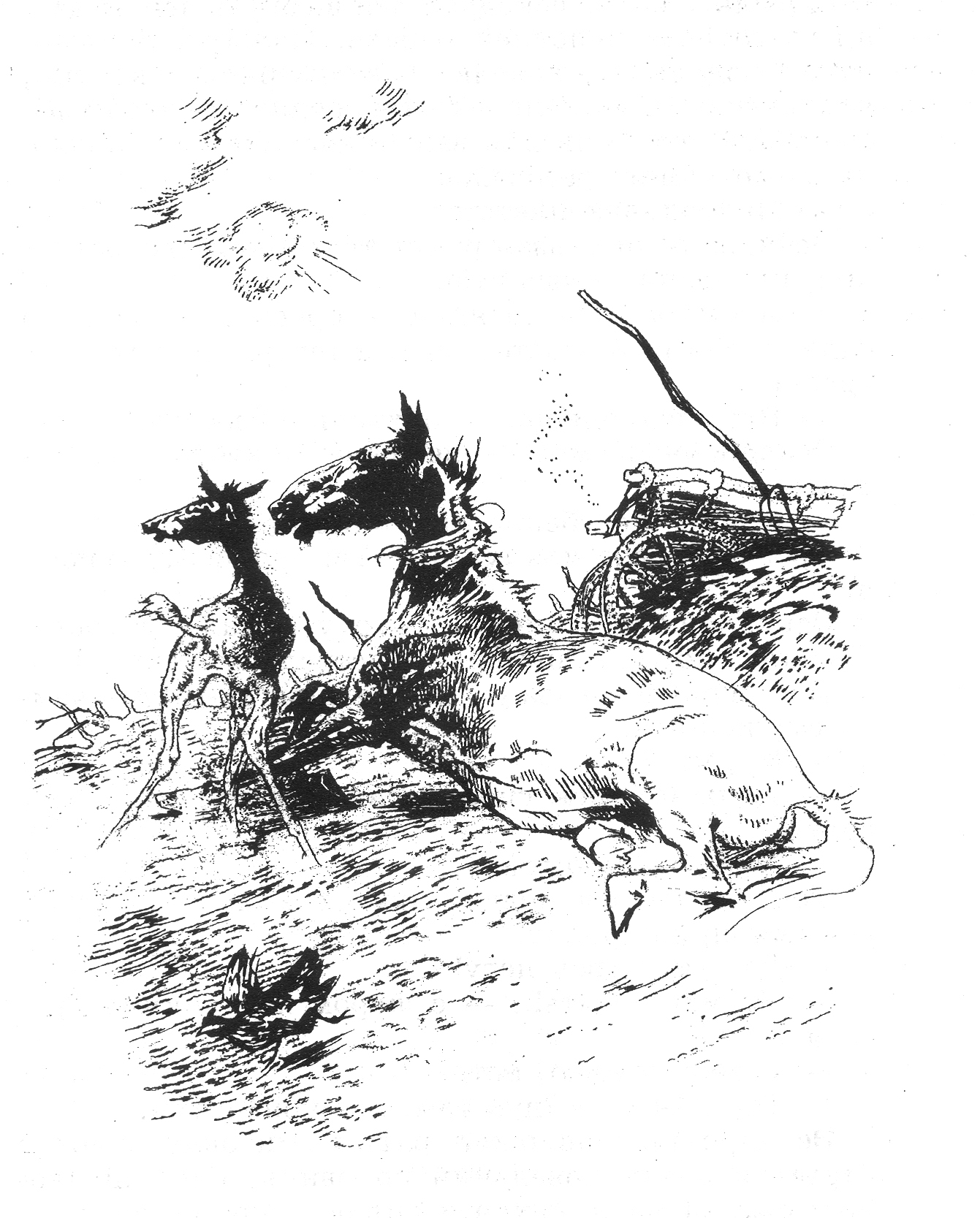 %d0%93%d0%be%d0%b4%d0%b8%d0%bd 003