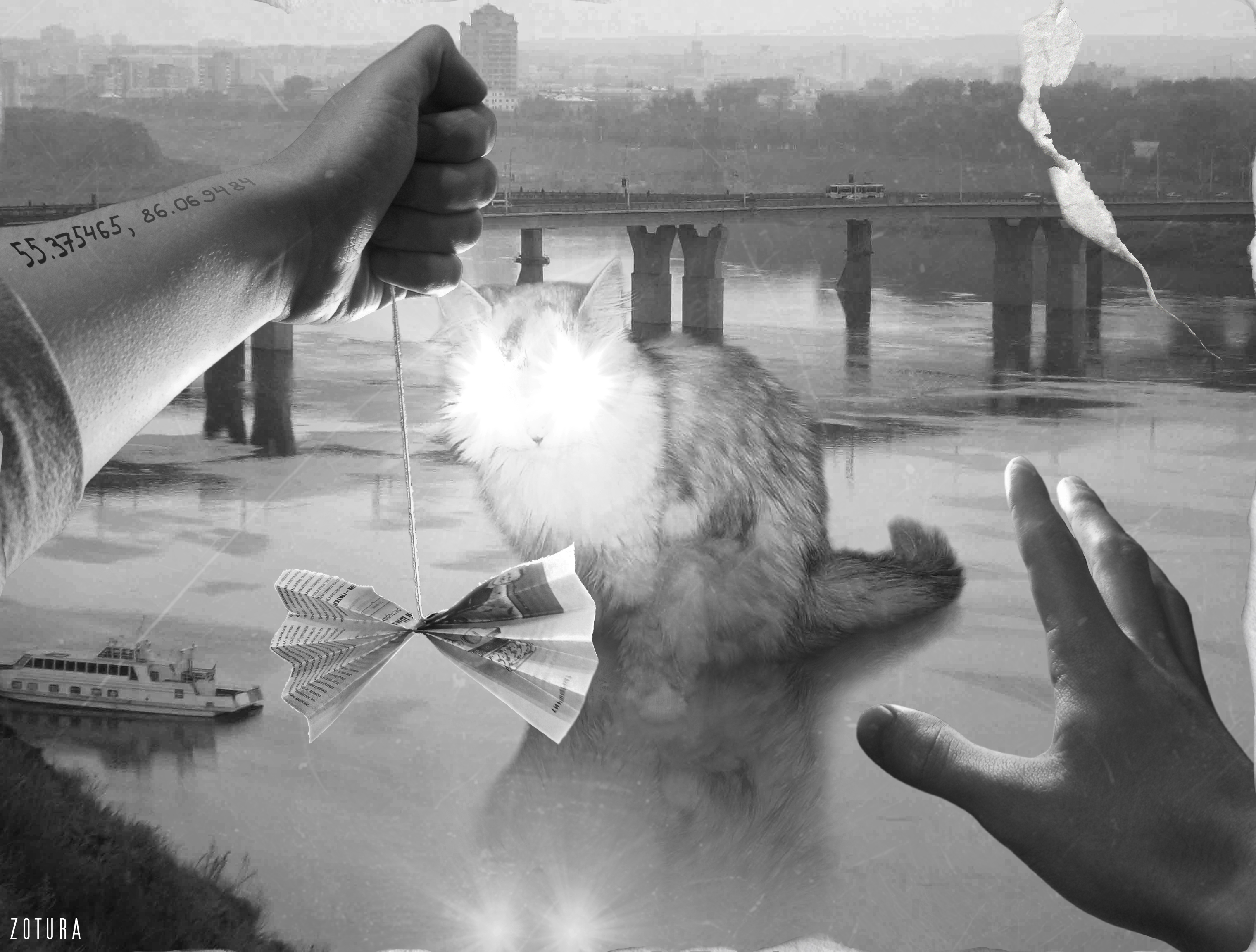 %d0%ba%d0%be%d1%82 %d0%b2 %d1%80%d0%b5%d0%ba%d0%b5