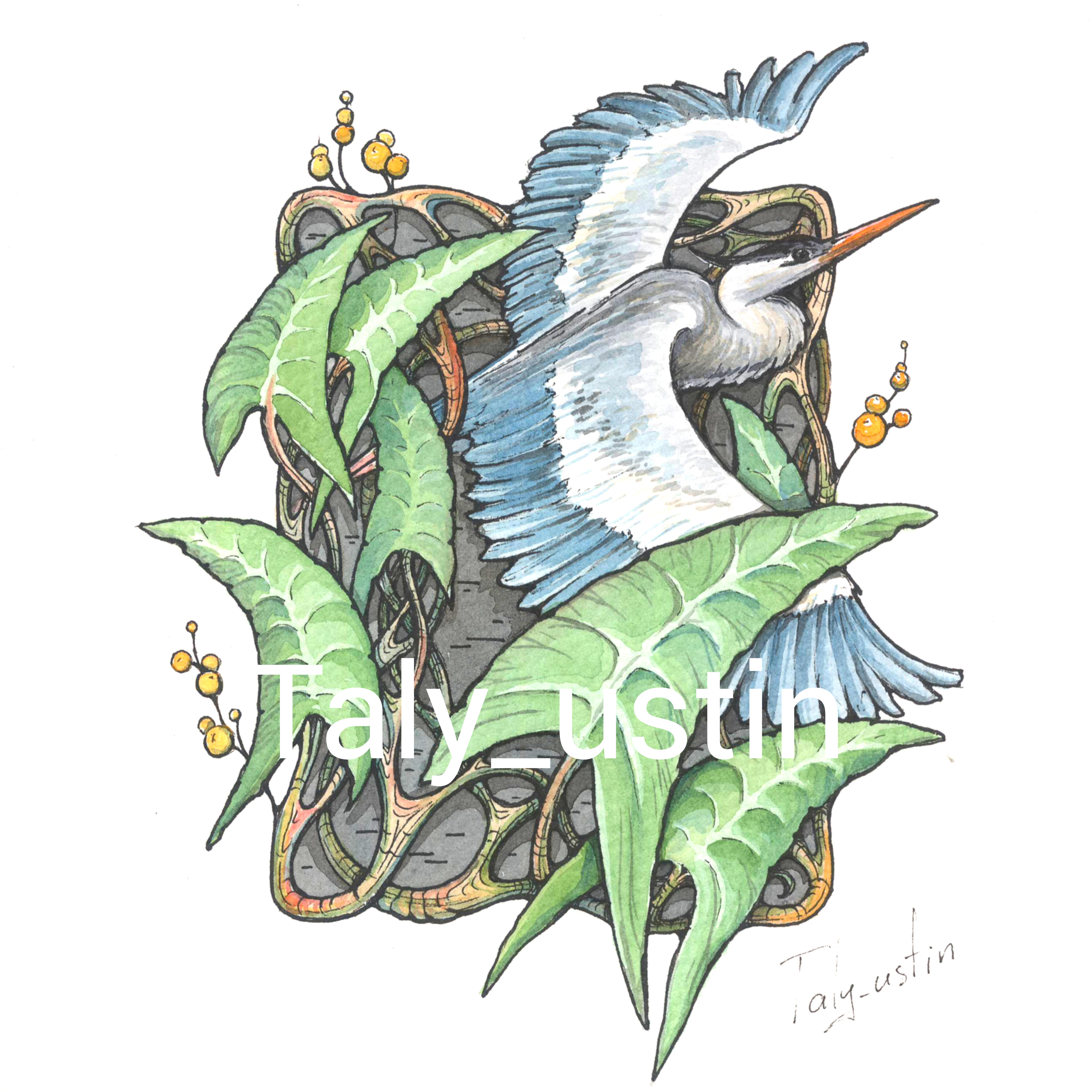 Inshot 20240725 235758737