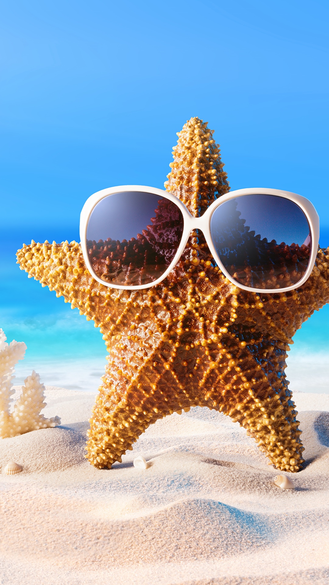 Starfish shells summer glasses sand 569727 1080x1920
