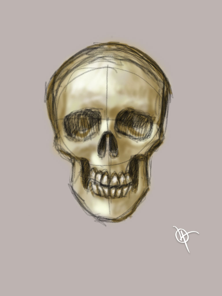 Skull 1 public