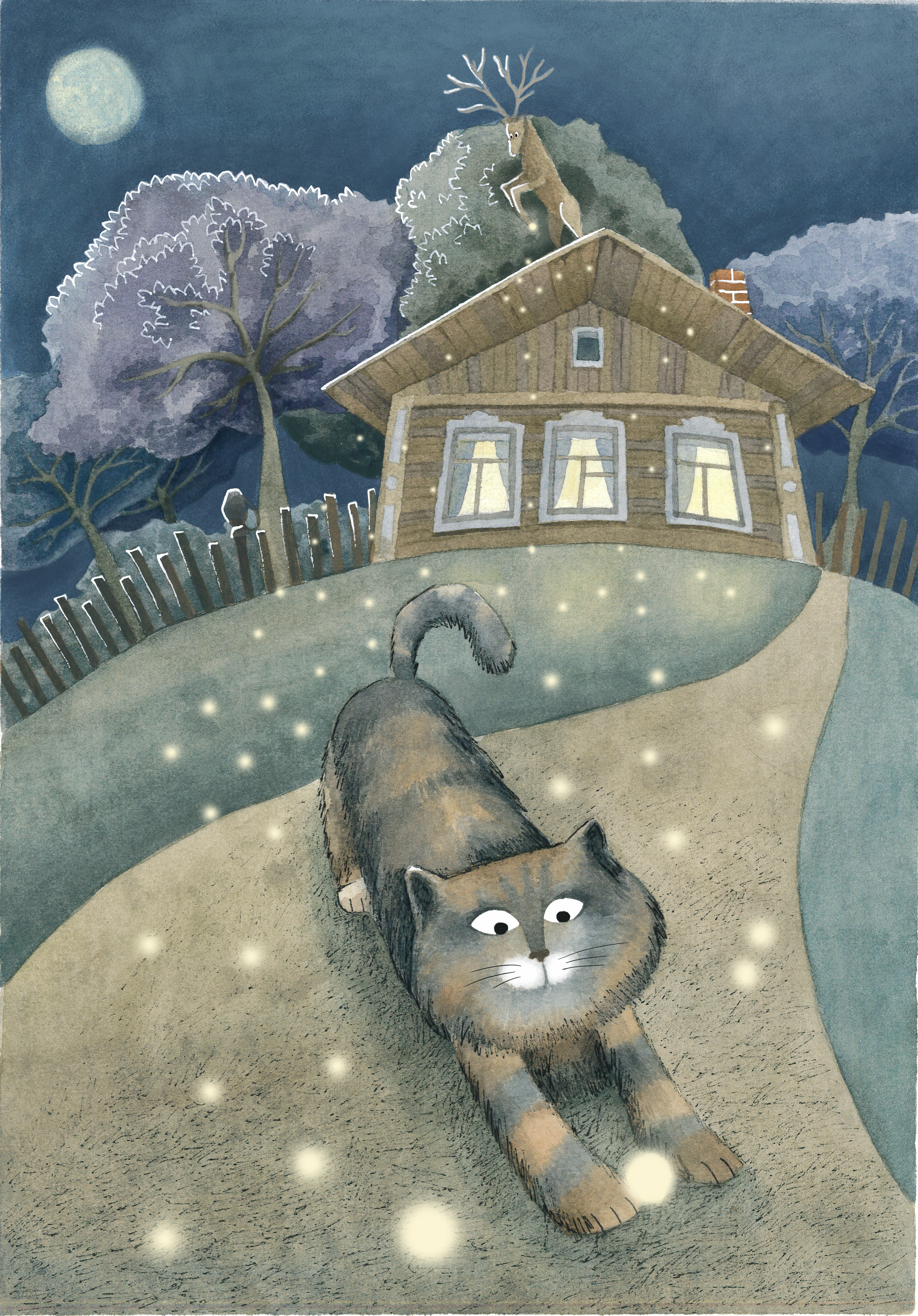 Bp 30m28 20250227 162611 0001