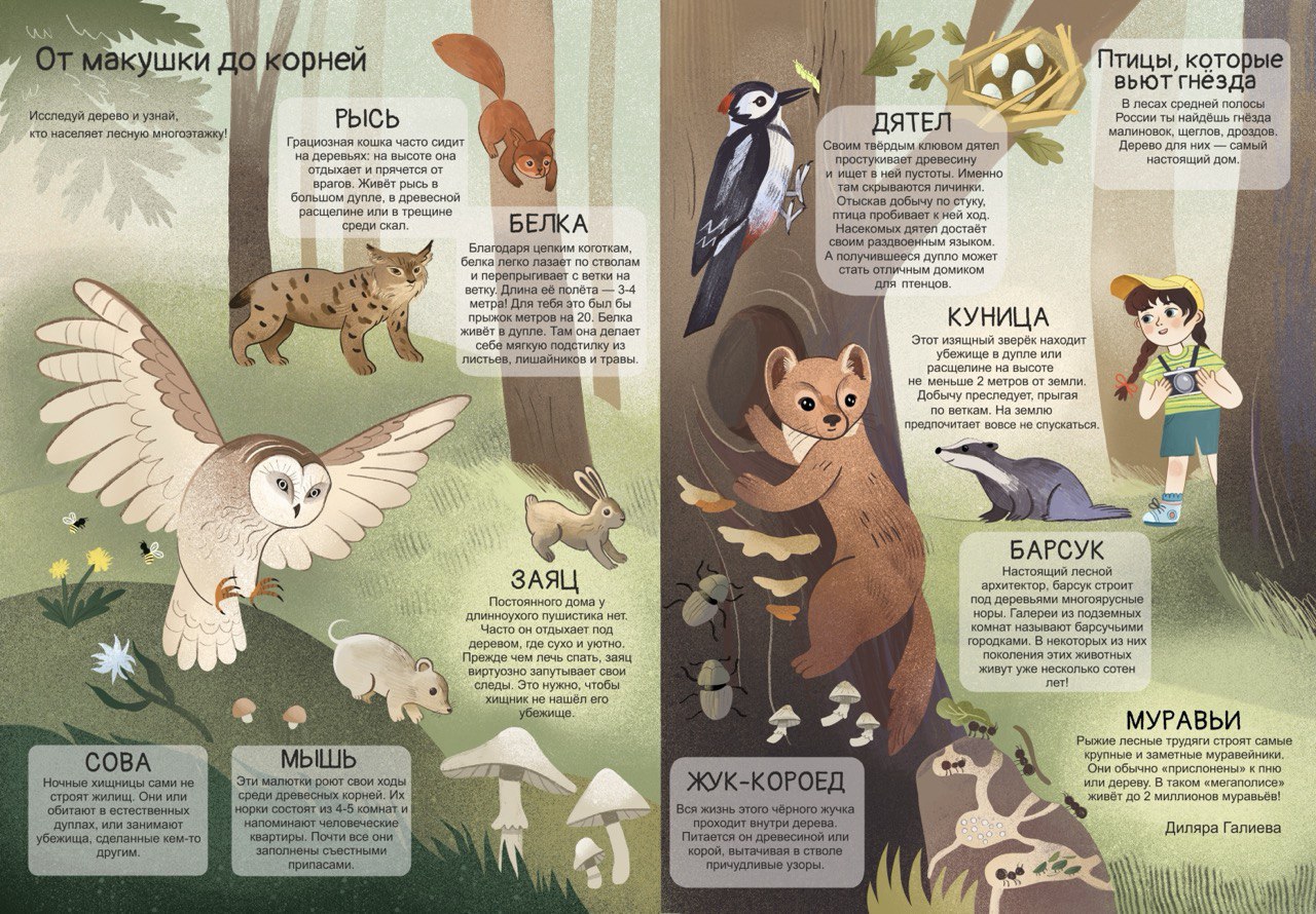 Photo 2025 06 10 16 13 41