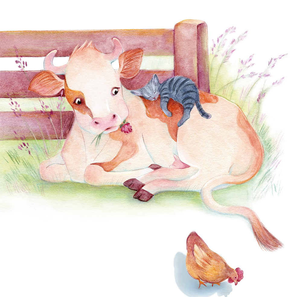 %d0%9a%d0%be%d1%80%d0%be%d0%b2%d0%b0