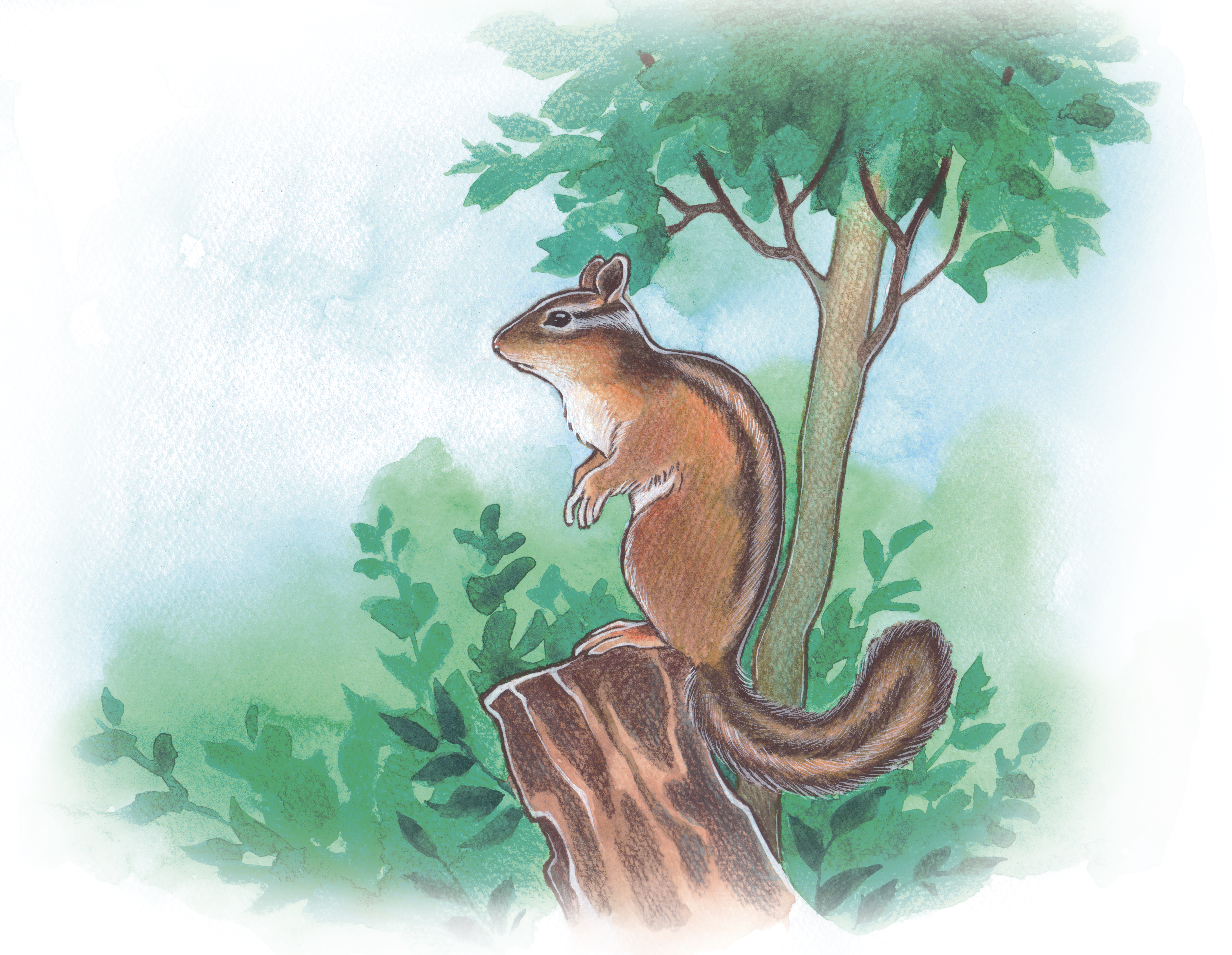 %d0%94%d0%be%d1%80%d0%be%d0%b3%d0%b0 %d0%b2 %d0%bc%d0%be%d0%bd%d0%b0%d1%81%d1%82%d1%8b%d1%80%d1%8c 1.2