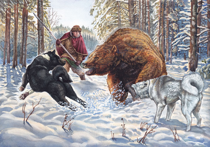 %d0%be%d1%85%d0%be%d1%82%d0%b0 %d0%bd%d0%b0 %d0%bc%d0%b5%d0%b4%d0%b2%d0%b5%d0%b4%d1%8f  jpg rgb   %d0%ba%d0%be%d0%bf%d0%b8%d1%8f