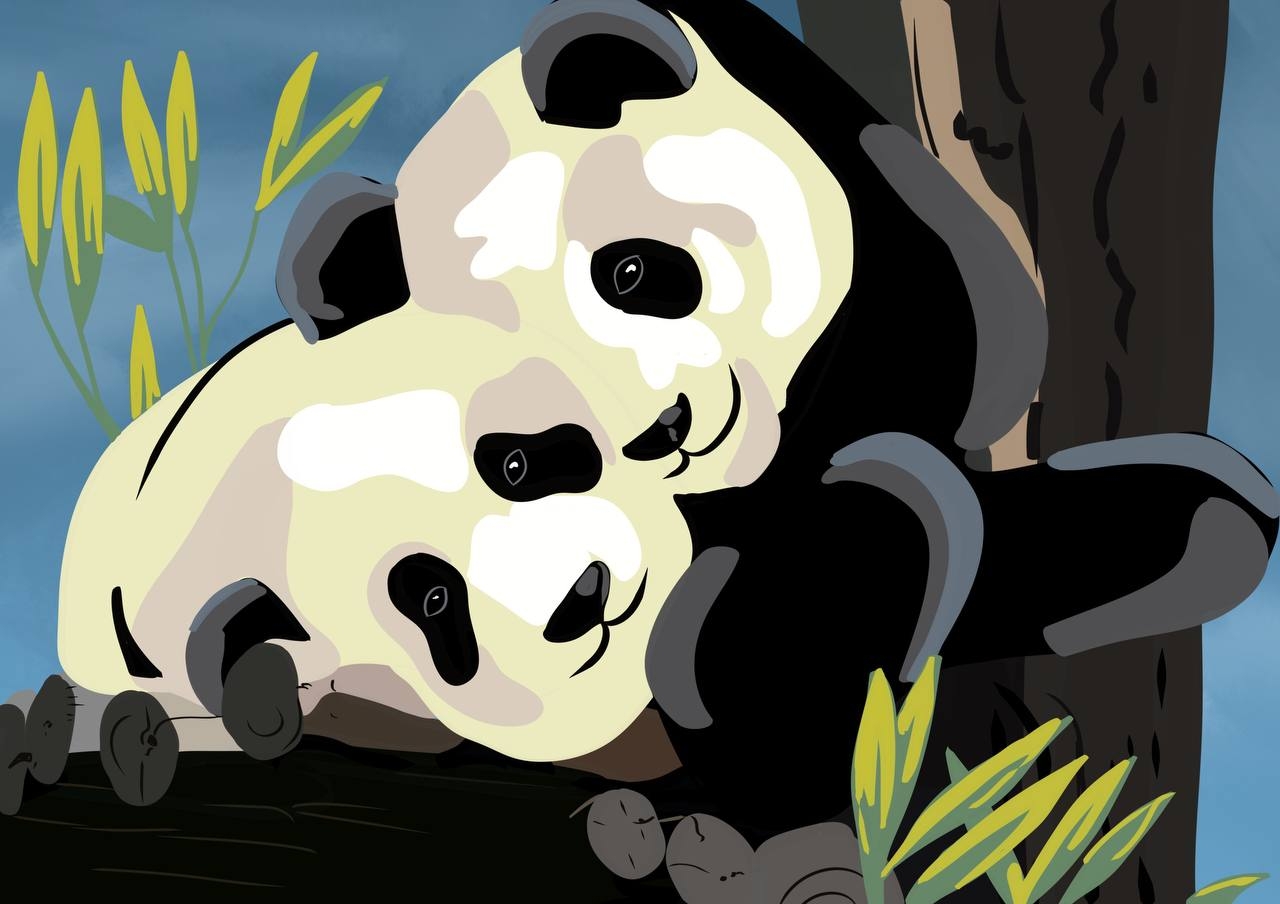 Behance project 1752575504360