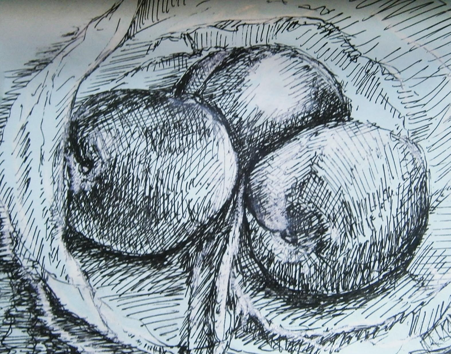 Img 20190727 012655 581