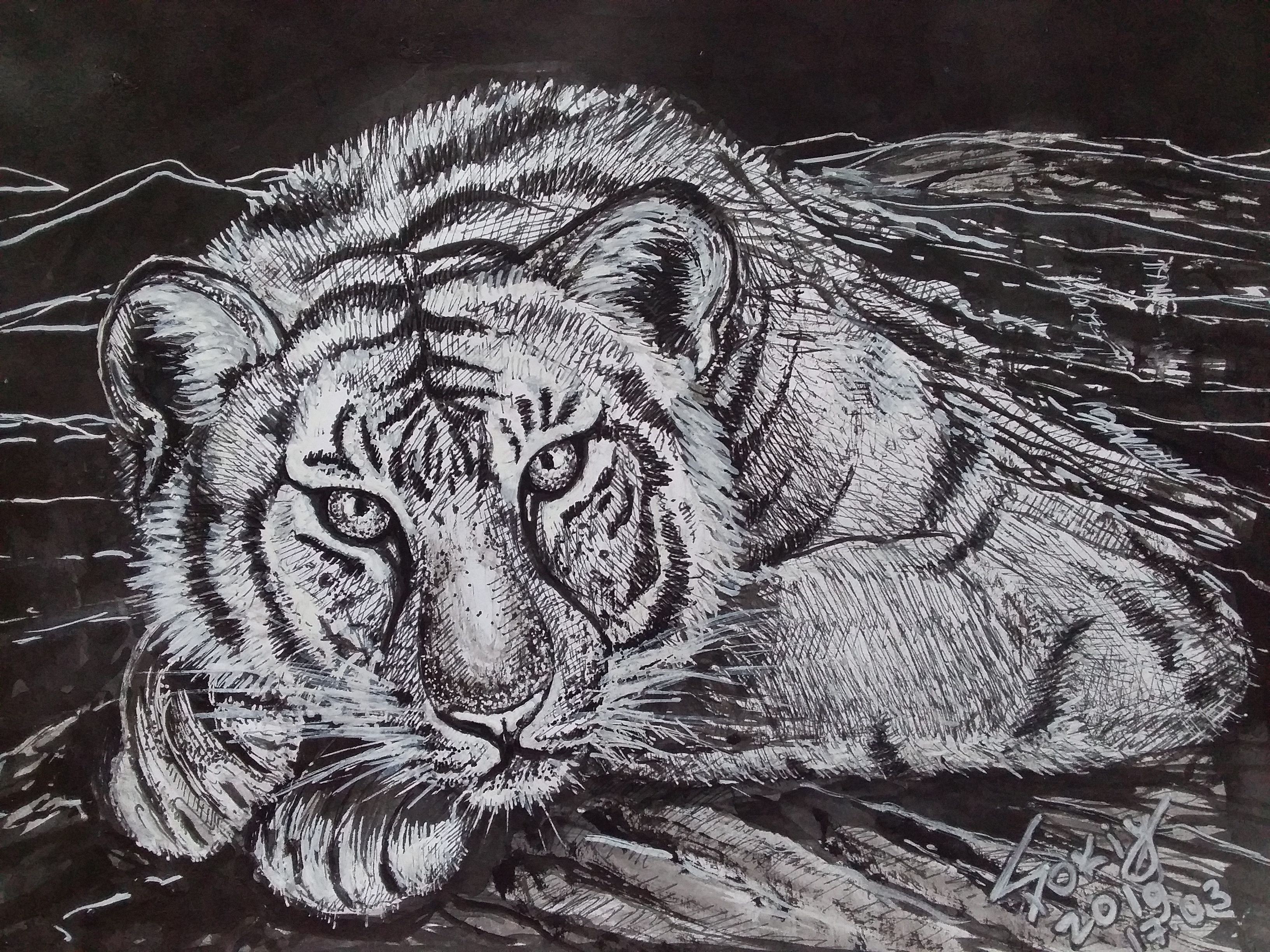 %d0%a2%d0%b8%d0%b3%d1%80 2   %d0%a2%d1%83%d1%88%d1%8c  %d0%bc%d0%b0%d1%80%d0%ba%d0%b5%d1%80  2019