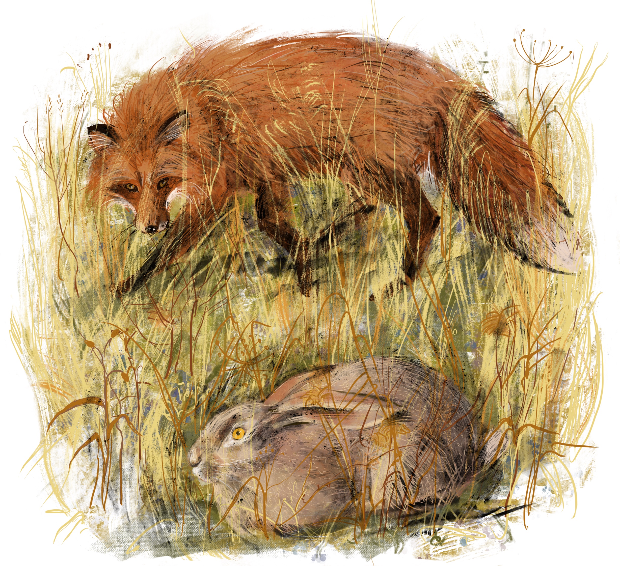 %d0%98%d0%bb%d0%bb%d1%8e%d1%81%d1%82%d1%80%d0%b0%d1%86%d0%b8%d1%8f %d0%b1%d0%b5%d0%b7 %d0%bd%d0%b0%d0%b7%d0%b2%d0%b0%d0%bd%d0%b8%d1%8f 15