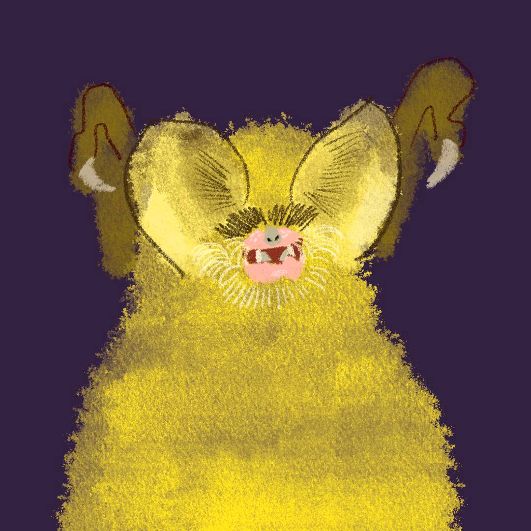 Photo 5440582378792802920 y