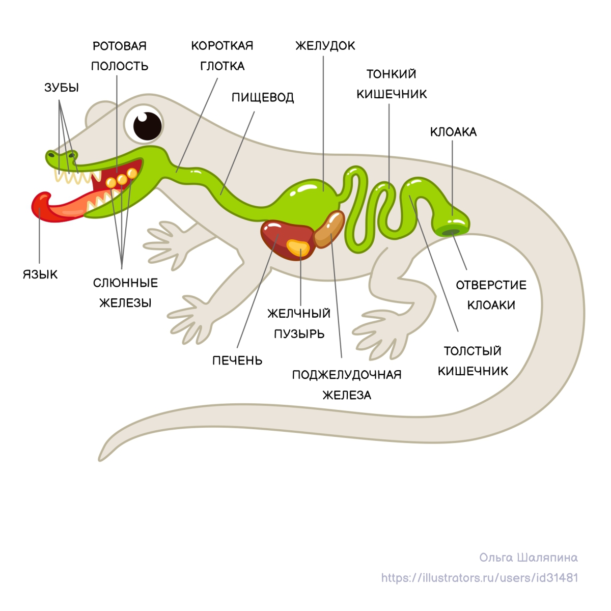 %d0%91%d0%b8%d0%be%d0%bb%d0%be%d0%b3%d0%b8%d1%8f