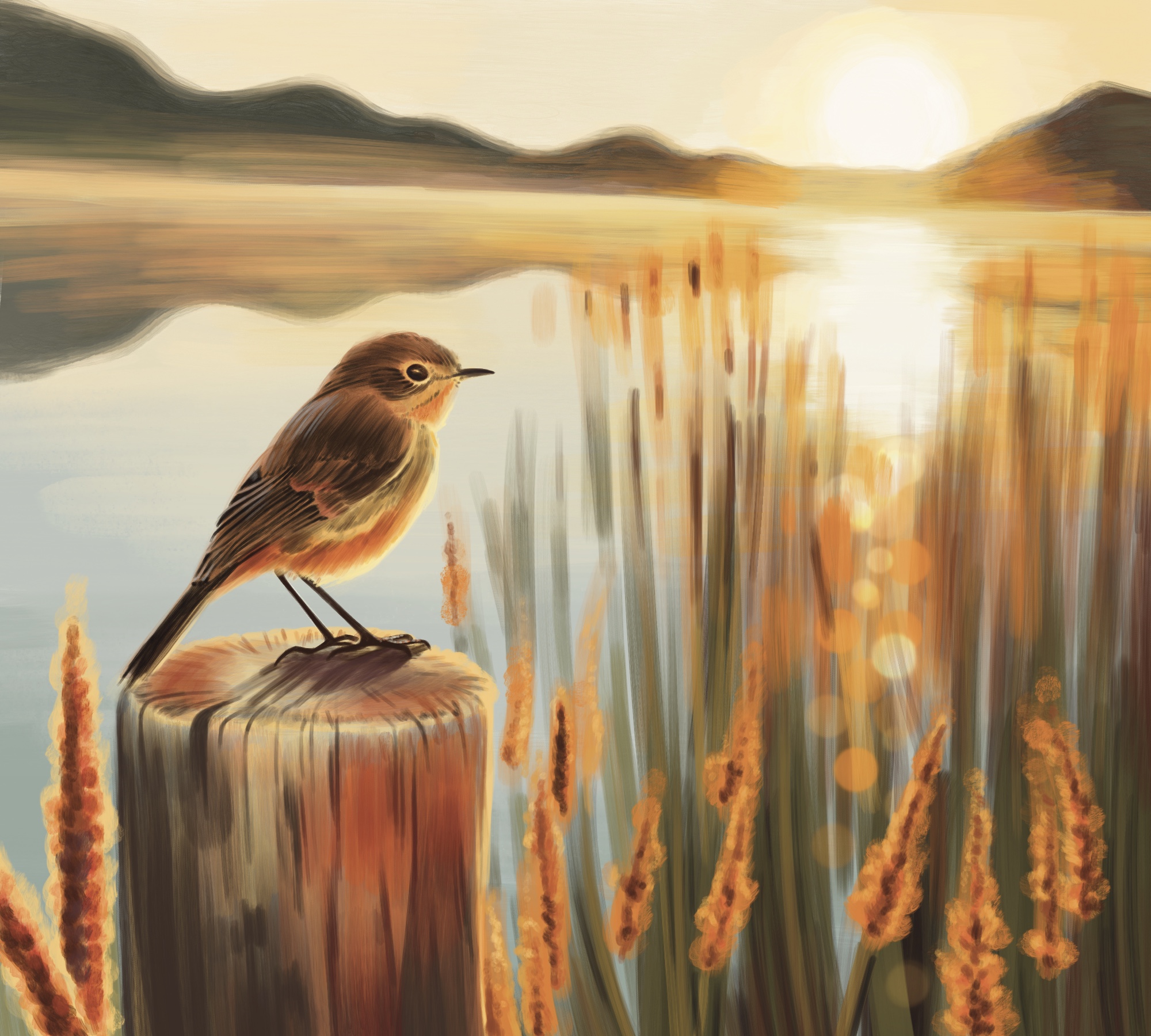 %d0%98%d0%bb%d0%bb%d1%8e%d1%81%d1%82%d1%80%d0%b0%d1%86%d0%b8%d1%8f %d0%b1%d0%b5%d0%b7 %d0%bd%d0%b0%d0%b7%d0%b2%d0%b0%d0%bd%d0%b8%d1%8f  3 