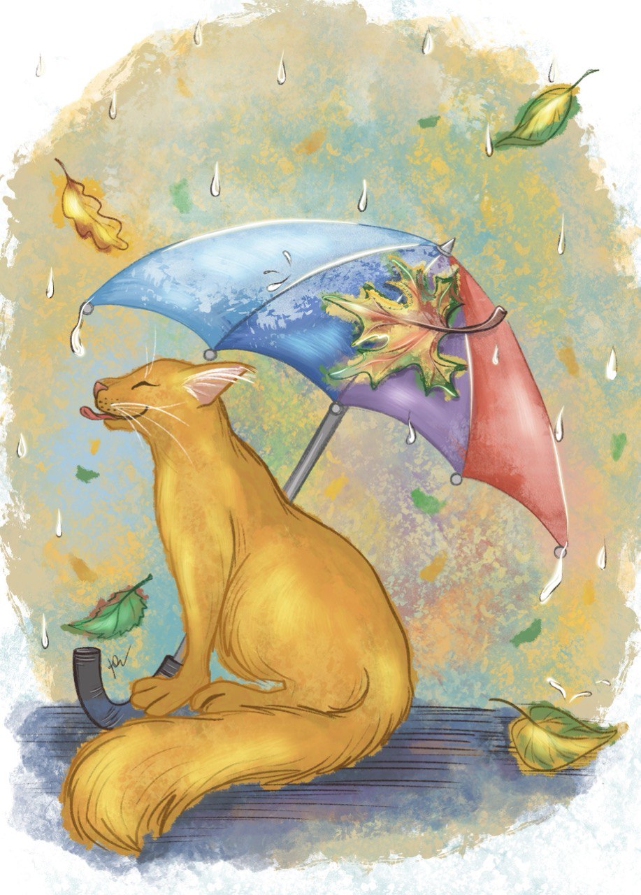 Img 20250820 221419 815