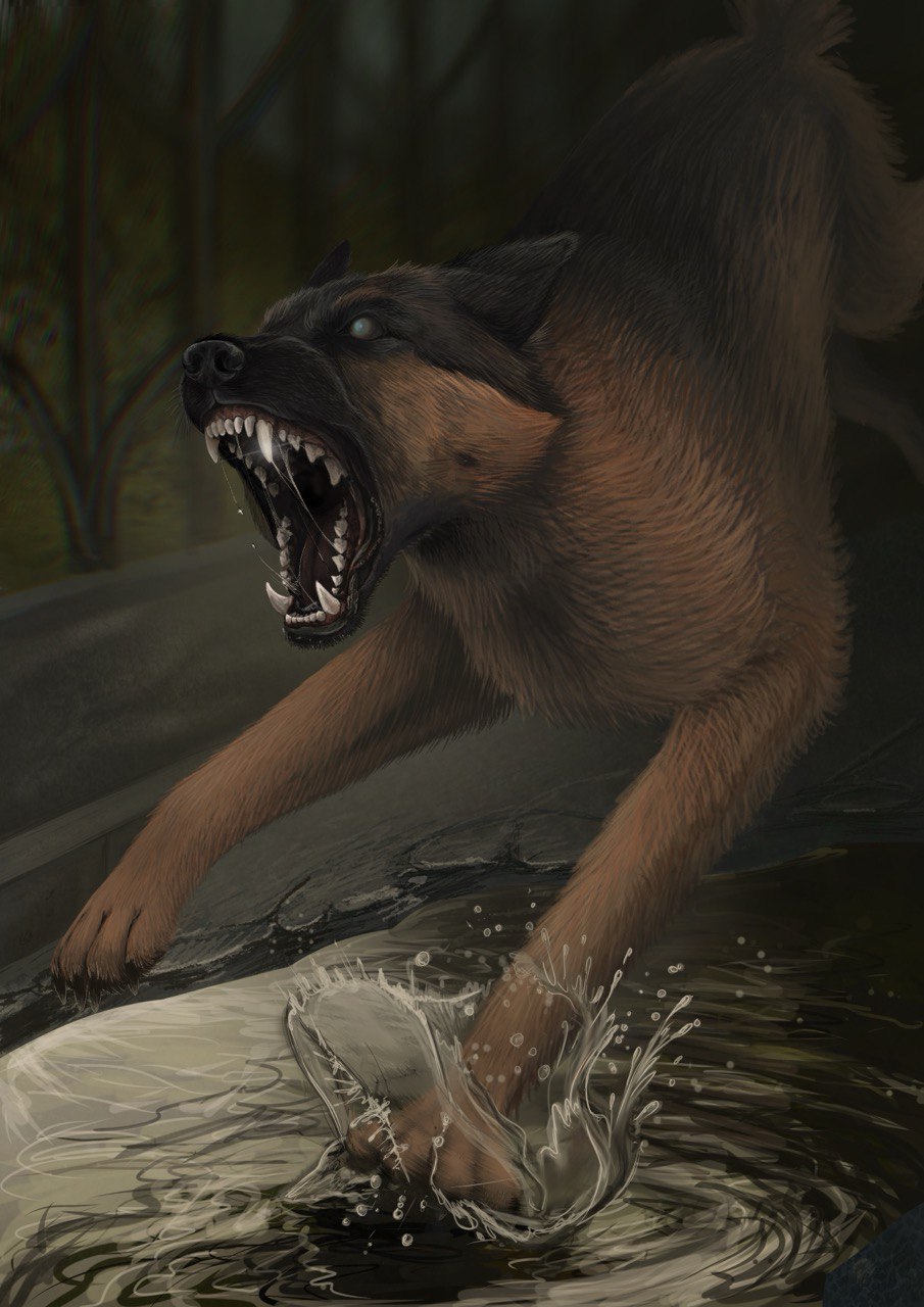 Img 20250821 224555 935