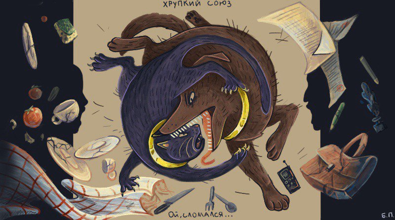 Img 20250821 224559 439