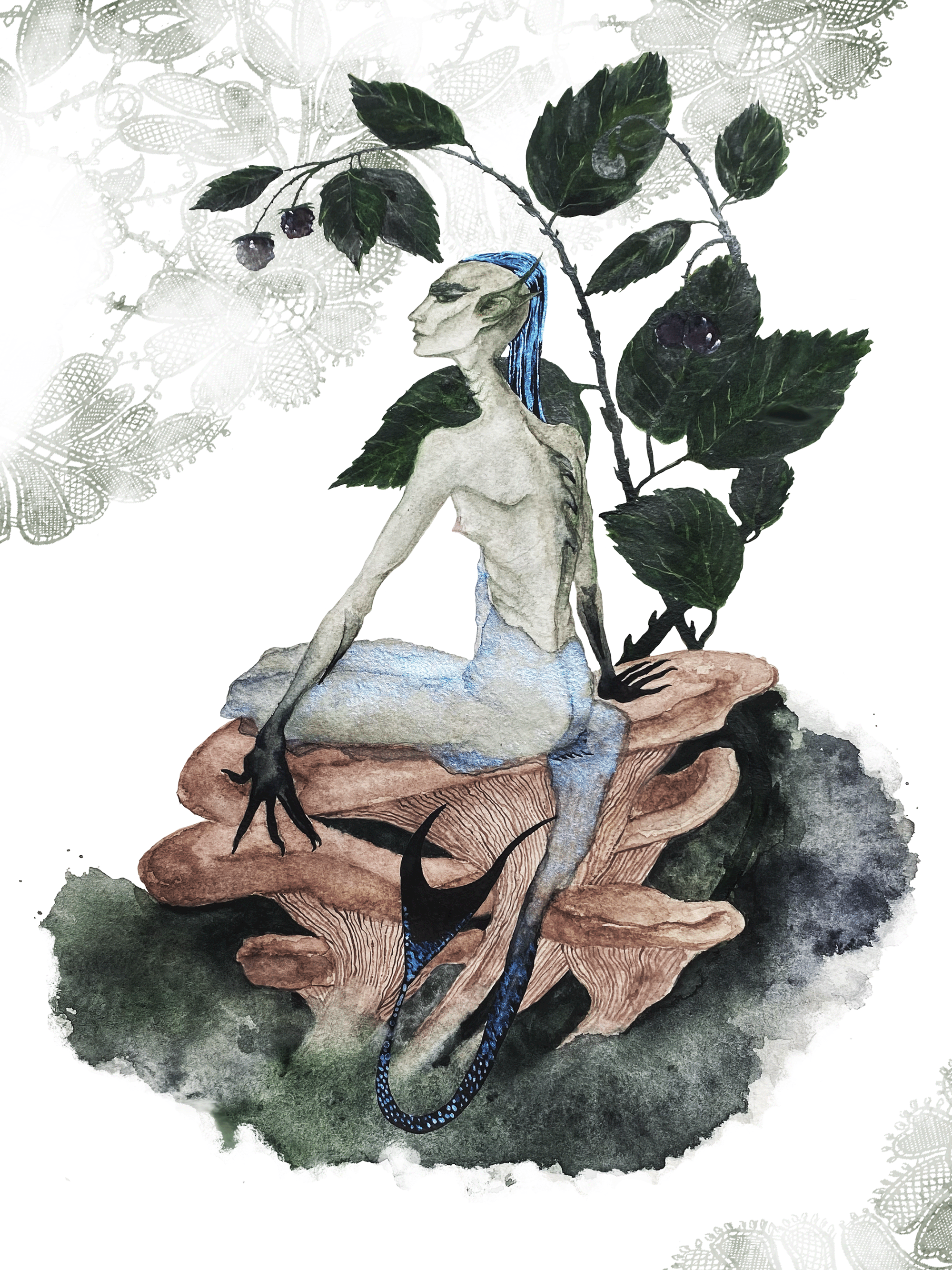 Diplura princess %d1%8c%d1%89%d1%8b%d1%8b2